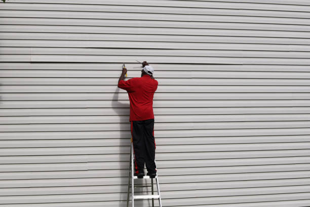 Best Stone Veneer Siding  in Barnwell, SC